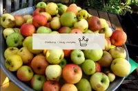 如何在家中用苹果制作卡尔瓦多斯？准备必要的成分。苹果选择芳香。最适合秋季或冬季果实的果实，果肉浓密。...