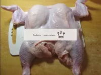هذه هي الطريقة التي يستريح بها الدجاج في حالة استر...