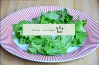 Narvite lettuce leaves with your hands and place o...