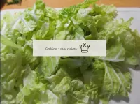 Peking cabbage with our hands or large cut, only t...
