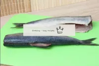 フィレットに魚をカットする方法は？死体から頭を切り落とす。尾びれからインデントし、腹部に0。5 cm...