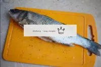 Dann den Fisch innen und außen mit Olivenöl bestre...