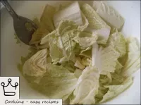 準備好的白菜葉子用沙拉調味料，攪拌。...