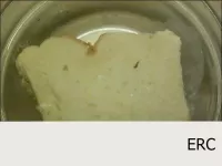 Remoje el pan en leche durante 10-20 minutos. ...