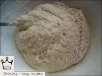 Knead the dough well. ...