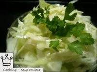 Fresh cabbage salad with garlic is ready. ...