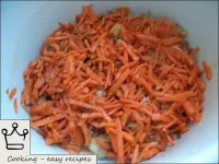 Legen Sie die Karotten als nächste Schicht. ...