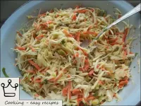 沙拉攪拌得很好。用胡蘿蔔和泡菜制成的卷心菜沙拉準備就緒！...