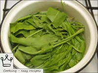 Go through the sorrel, rinse thoroughly, put it in...