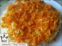 - carote cottura + maionese (2-3 cucchiai);...