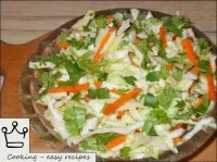用白菜、蘋果和胡蘿蔔制成的成品沙拉用切碎的香菜或蘋果片裝飾。...