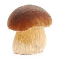 White mushroom...