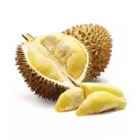 ドリアン（durian...
