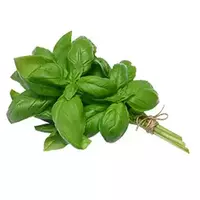 Basil green...