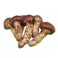 Matsutake mushroom...