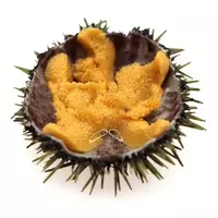 Sea urchin caviar...