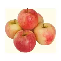 Las manzanas de gala...