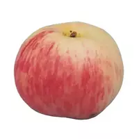 تفاح جروشوفكا...