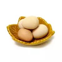 モルモットの卵...