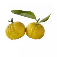 Японский лимон (юзу)...