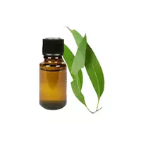 Eucalyptus oil...