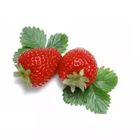 草莓...