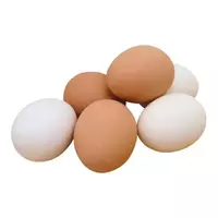 鸡蛋...