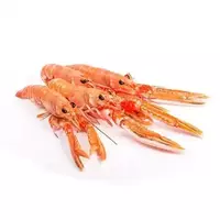 Langoustine...