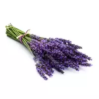 Lavender...