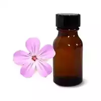 Geranium oil...