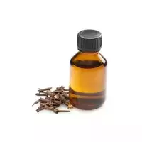 Clove oil...