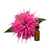 Monarda oil...