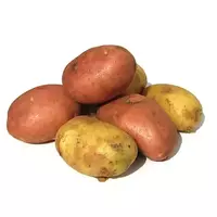 Patatas jóvenes...
