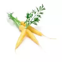 Yellow carrot...