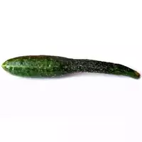 Chinese cucumber...
