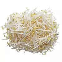 Bean sprouts...