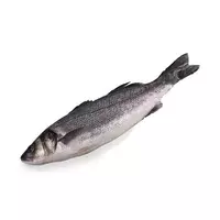 シーバス魚またはシーオオカミ...