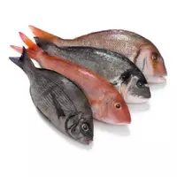 Peixe...