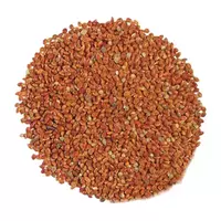 Sugar sorghum...