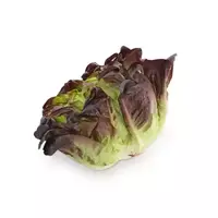 Oacliffe lettuce...