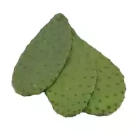 Cactus comestibles...