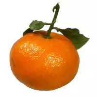 Tangerine...