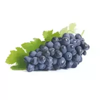 Isabella grapes...