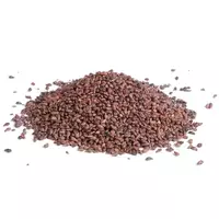 Grape seeds...