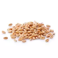 Wheat grains...